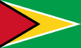 Guyana bendera kebangsaan