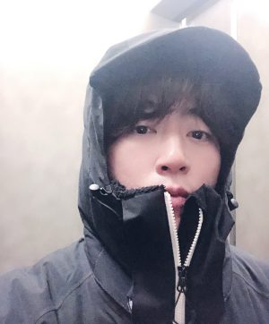 그레이하운드